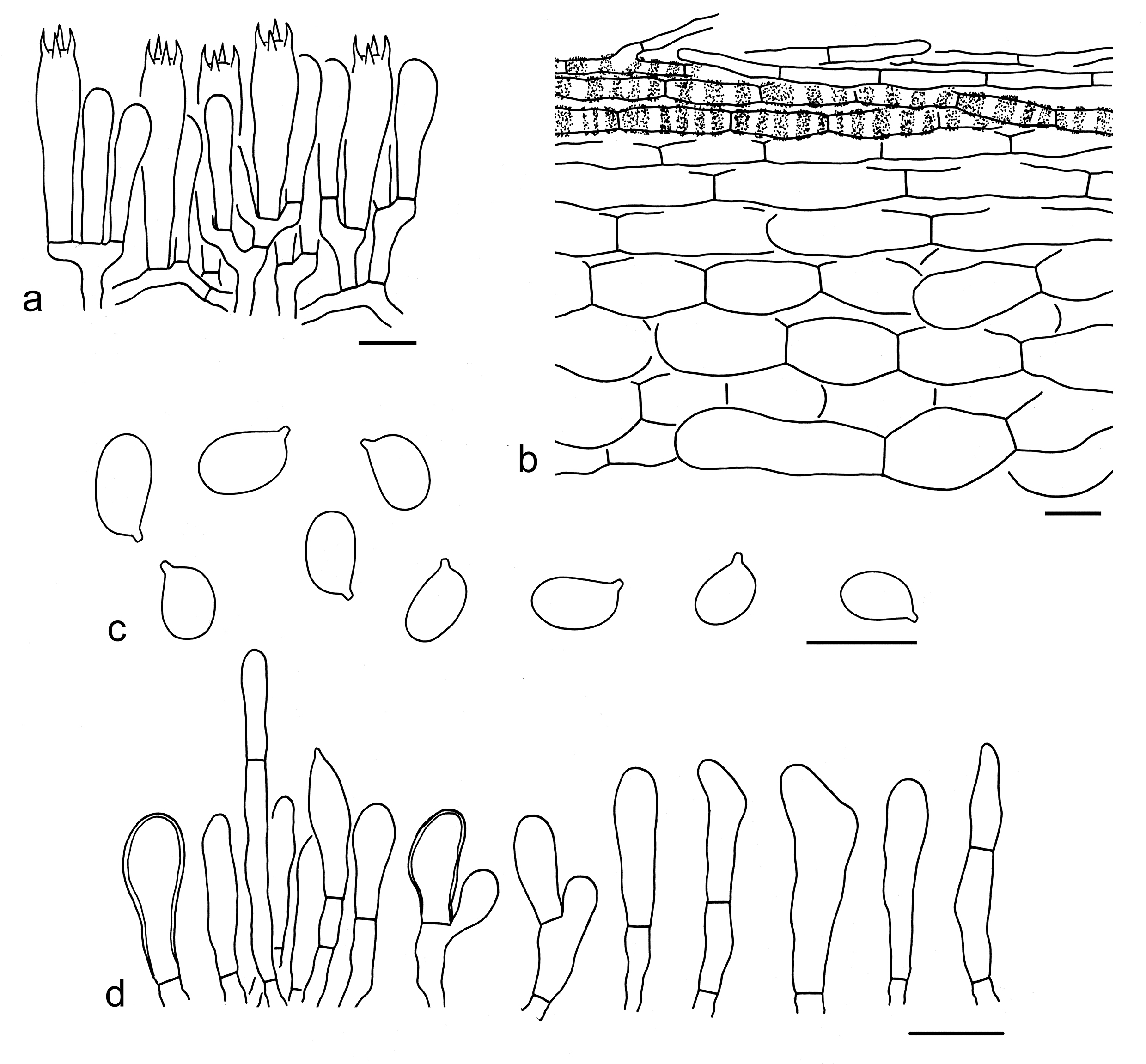 Figure 70